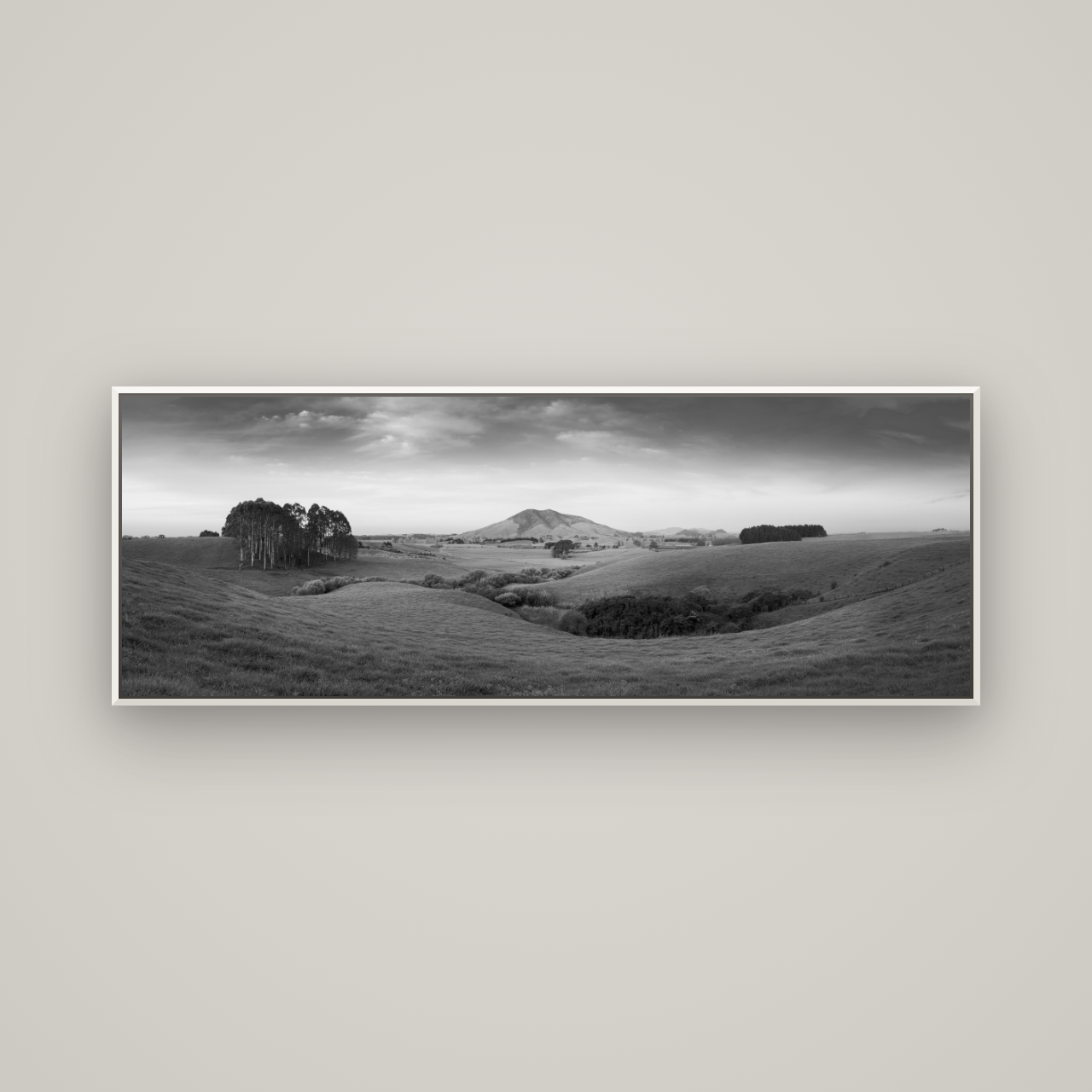 Evening Fields, Mount Kakepuku — Basel White, 170×60 cm. New Zealand fine art wall art by Stephen Milner.