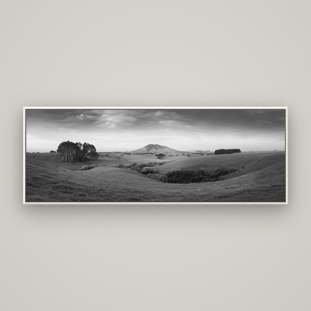 Evening Fields, Mount Kakepuku — Basel White, 170×60 cm. New Zealand fine art wall art by Stephen Milner.