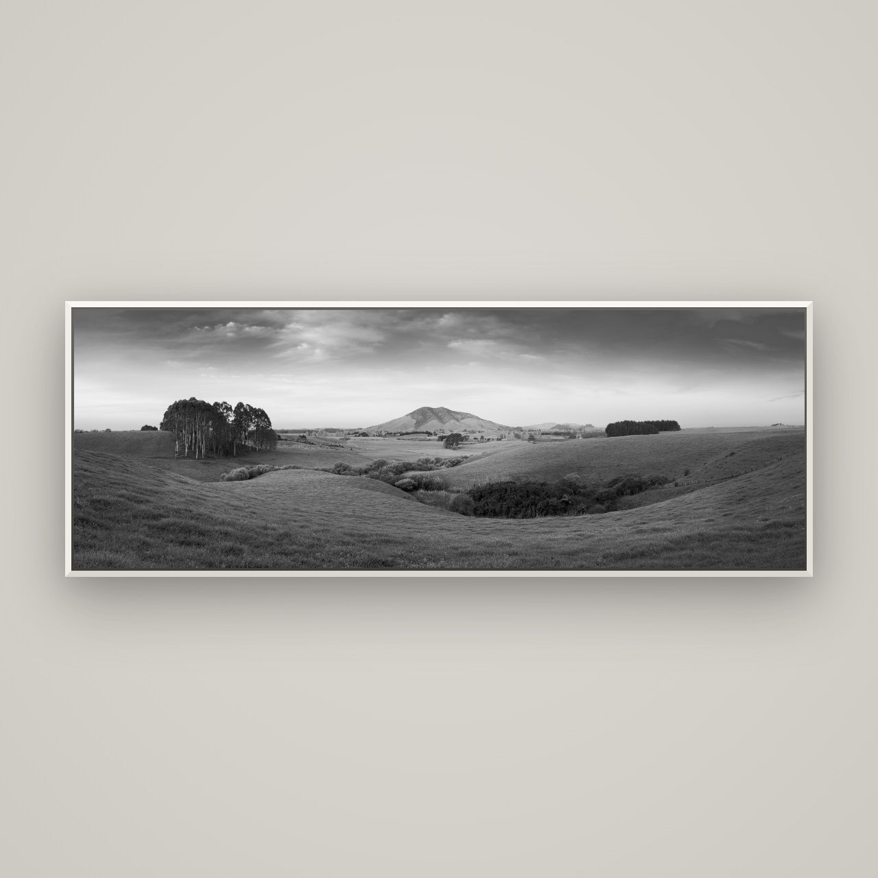 Evening Fields, Mount Kakepuku — Basel White, 170×60 cm. New Zealand fine art wall art by Stephen Milner.