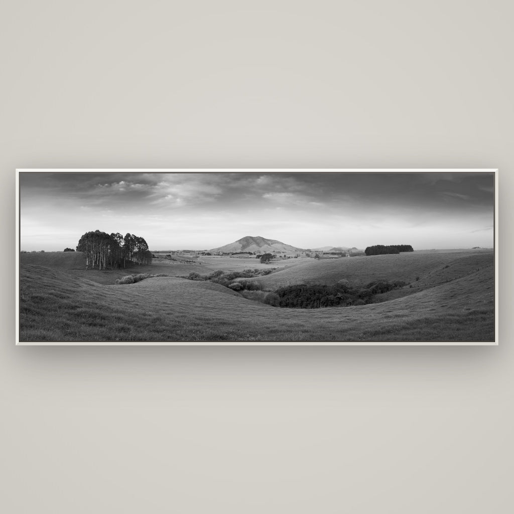 Evening Fields, Mount Kakepuku — Basel White, 198×70 cm. New Zealand fine art wall art by Stephen Milner.