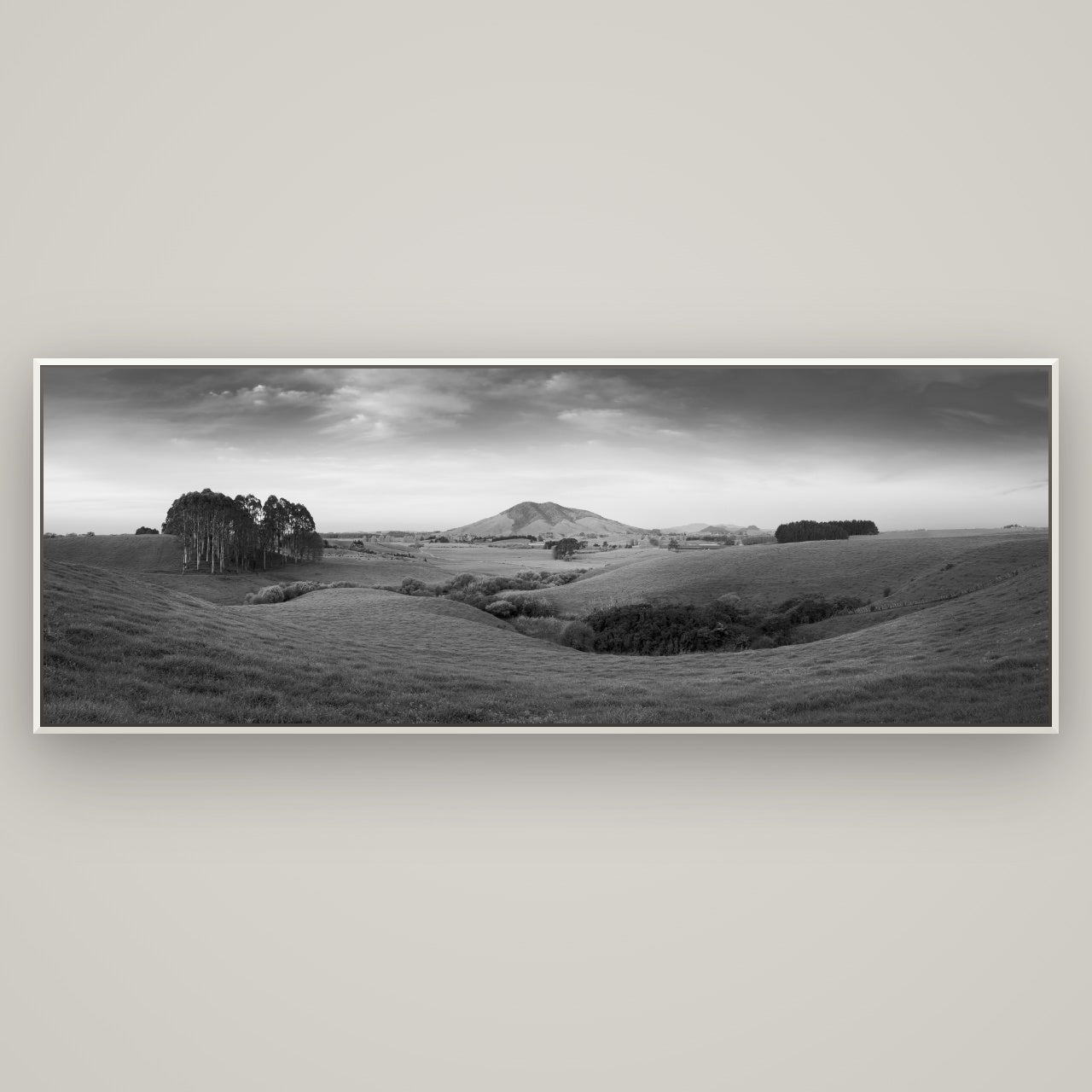 Evening Fields, Mount Kakepuku — Basel White, 198×70 cm. New Zealand fine art wall art by Stephen Milner.