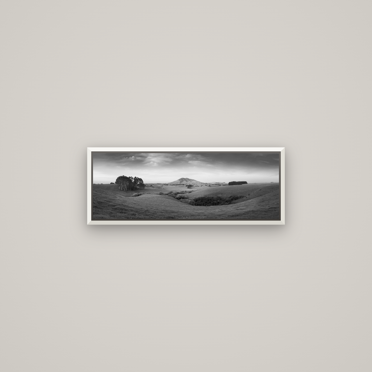 Evening Fields, Mount Kakepuku — Basel White, 68×24 cm. New Zealand fine art wall art by Stephen Milner.