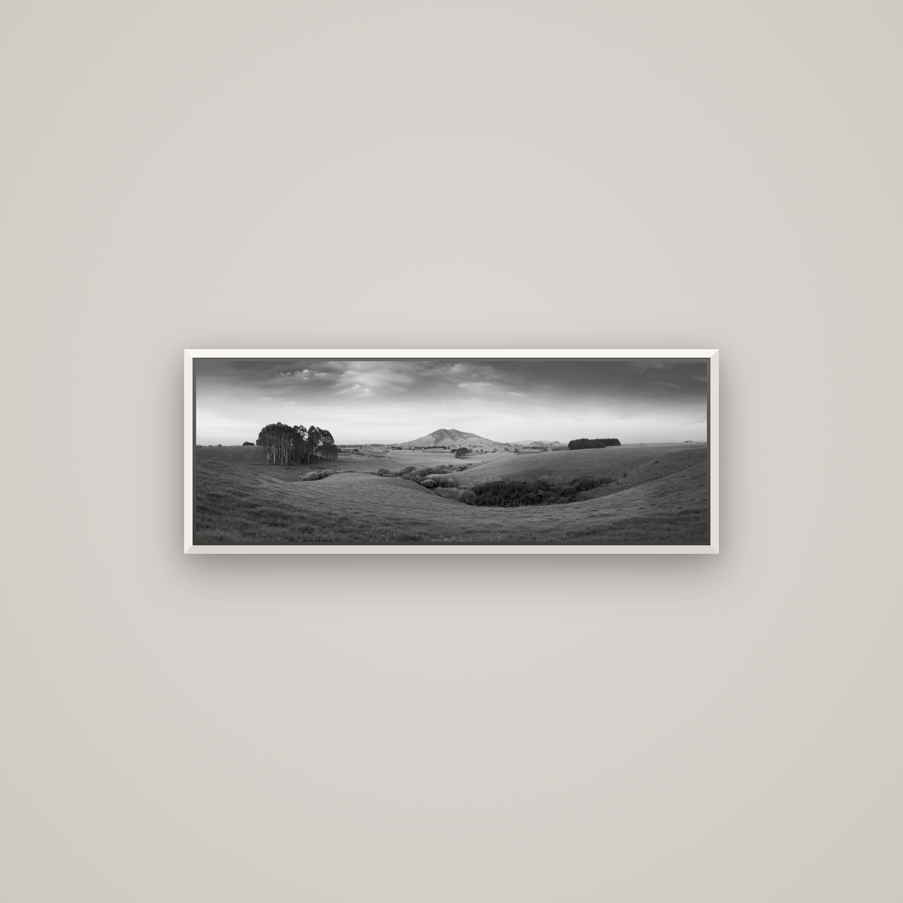 Evening Fields, Mount Kakepuku — Basel White, 85×30 cm. New Zealand fine art wall art by Stephen Milner.