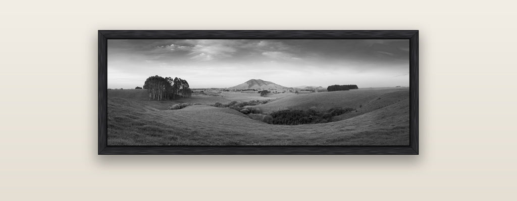 Evening Fields, Mount Kakepuku — black float frame framed canvas print. New Zealand fine art landscape wall art by Stephen Milner.