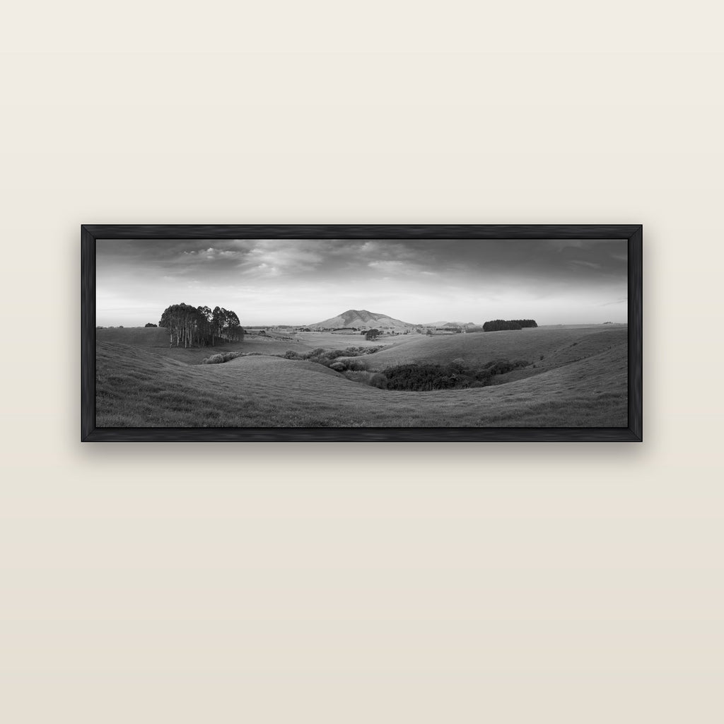 Evening Fields, Mount Kakepuku — black float frame canvas, 152 × 56 cm. New Zealand fine art landscape wall art by Stephen Milner.