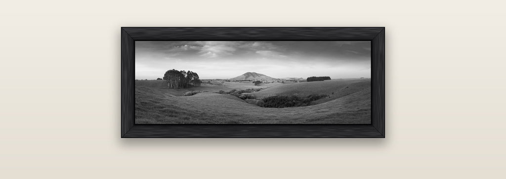 Evening Fields, Mount Kakepuku — black float frame canvas, 71 × 25 cm. New Zealand fine art landscape wall art by Stephen Milner.