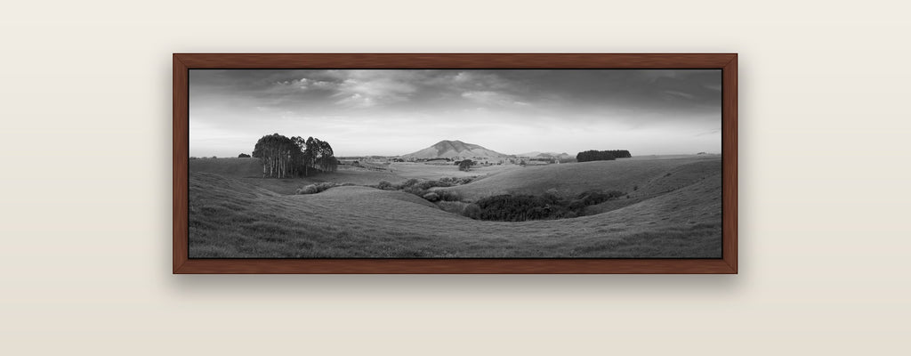 Evening Fields, Mount Kakepuku — brown float frame framed canvas print. New Zealand fine art landscape wall art by Stephen Milner.
