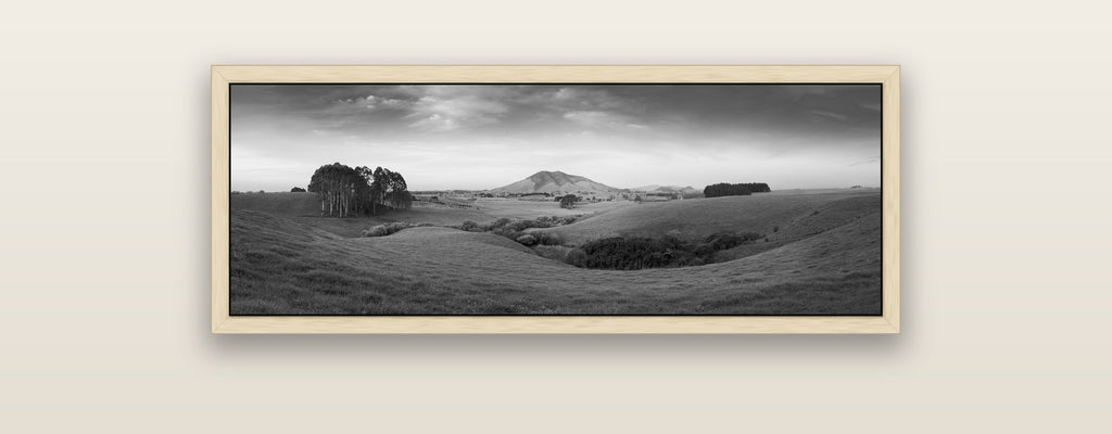 Evening Fields, Mount Kakepuku — natural float frame framed canvas print. New Zealand fine art landscape wall art by Stephen Milner.