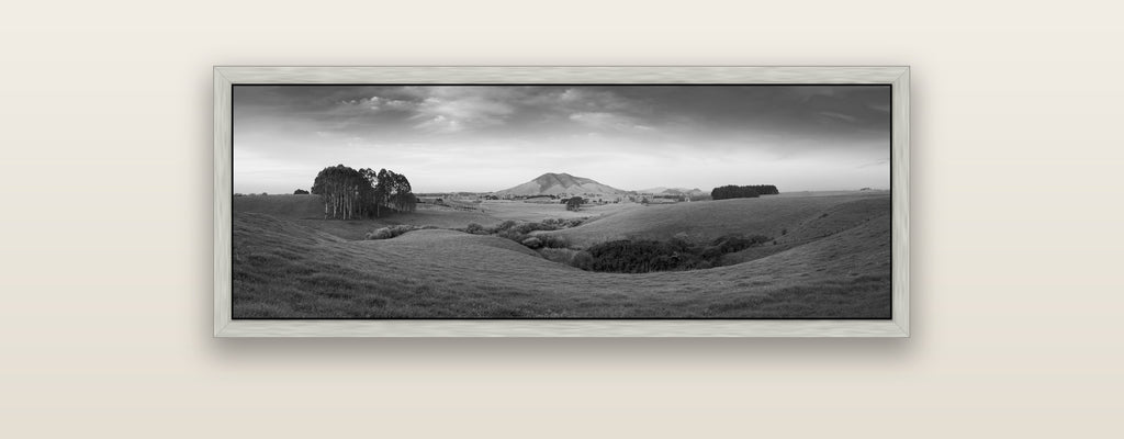 Evening Fields, Mount Kakepuku — silver float frame framed canvas print. New Zealand fine art landscape wall art by Stephen Milner.