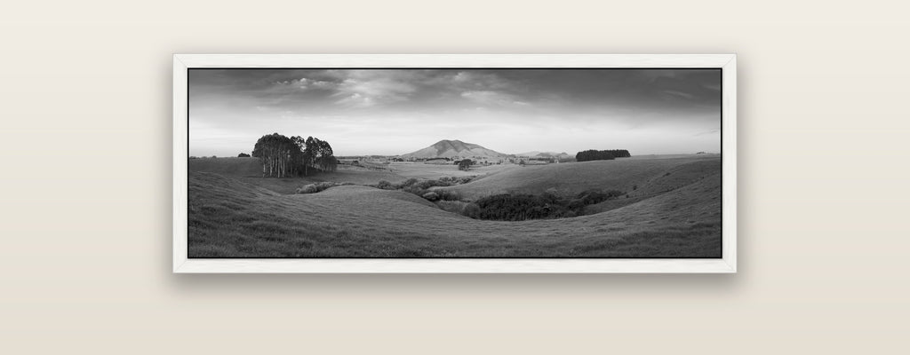 Evening Fields, Mount Kakepuku — white float frame framed canvas print. New Zealand fine art landscape wall art by Stephen Milner.