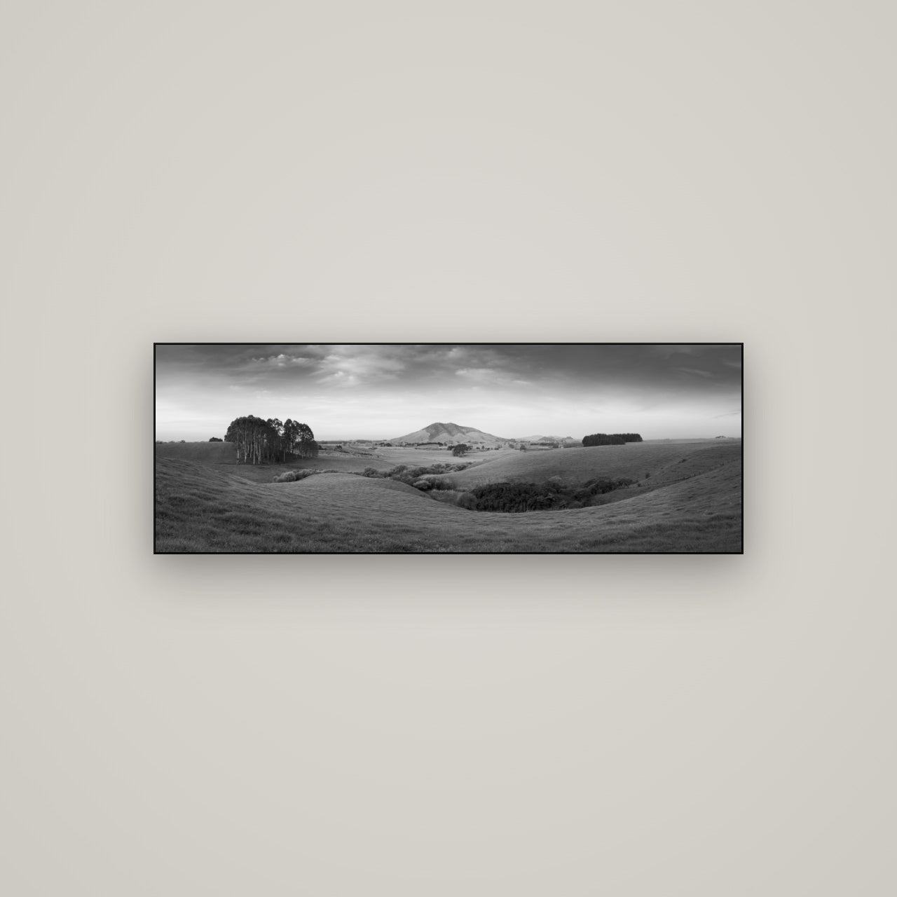 Evening Fields, Mount Kakepuku — Slimline Black, 113×40 cm. New Zealand fine art wall art by Stephen Milner.