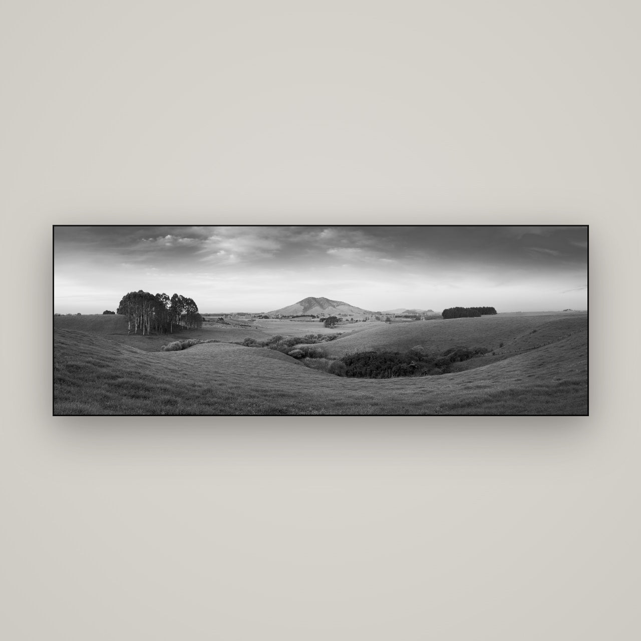 Evening Fields, Mount Kakepuku — Slimline Black, 170×60 cm. New Zealand fine art wall art by Stephen Milner.