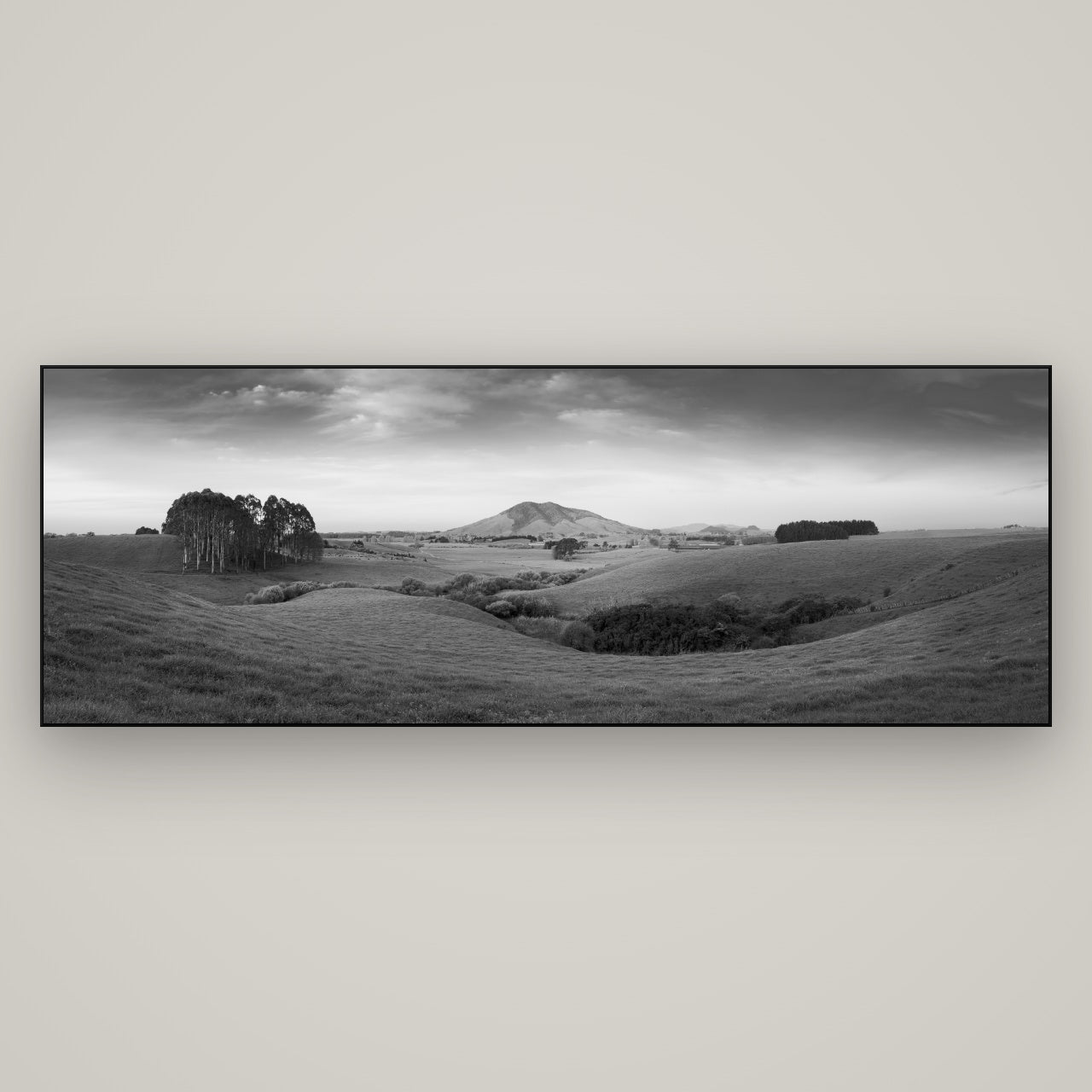 Evening Fields, Mount Kakepuku — Slimline Black, 198×70 cm. New Zealand fine art wall art by Stephen Milner.