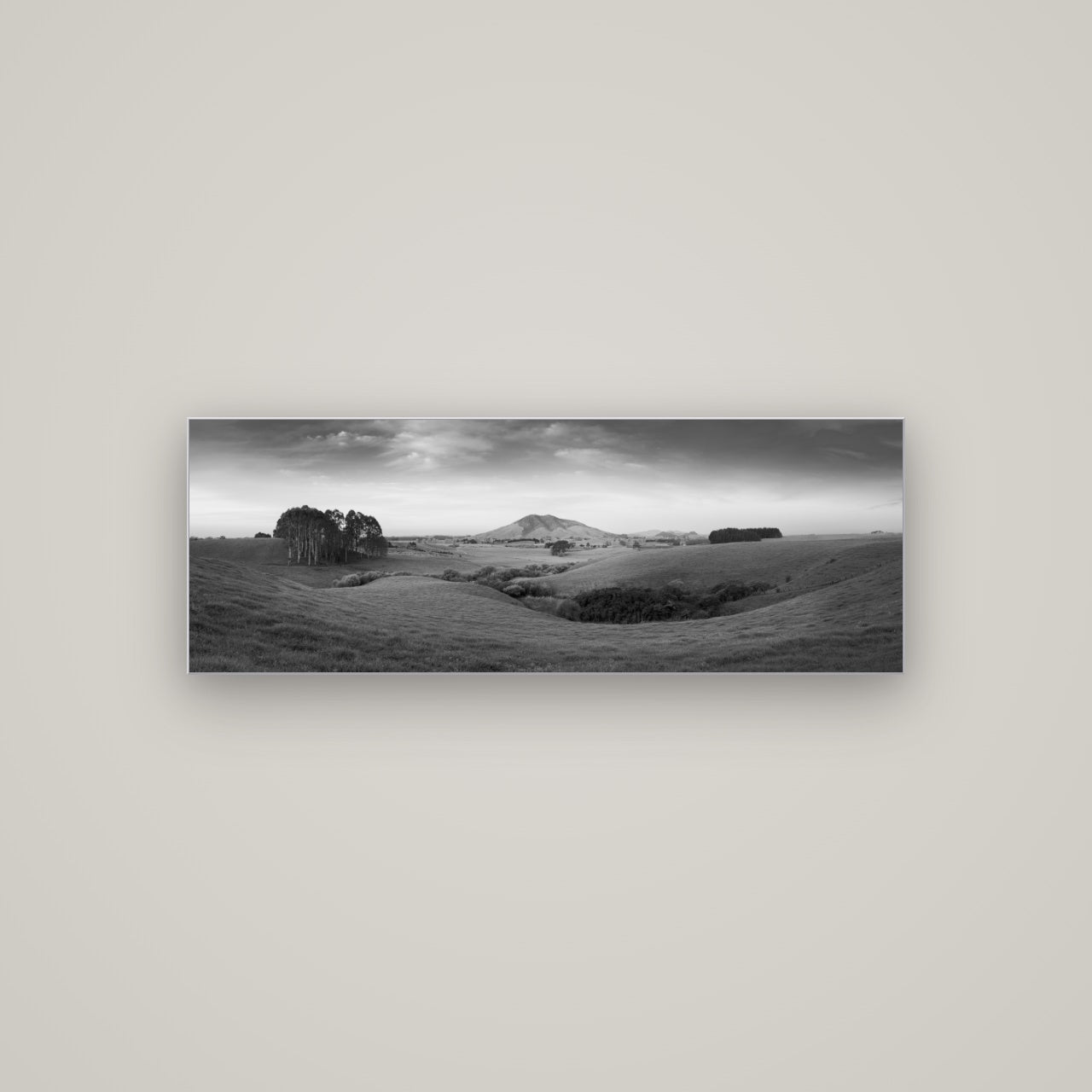 Evening Fields, Mount Kakepuku — Slimline Silver, 113×40 cm. New Zealand fine art wall art by Stephen Milner.