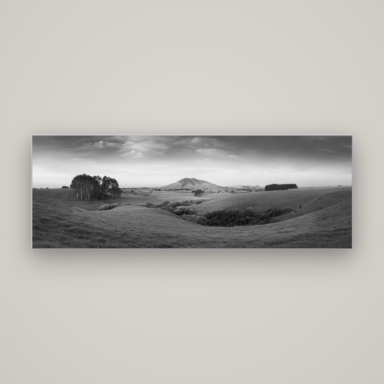 Evening Fields, Mount Kakepuku — Slimline Silver, 170×60 cm. New Zealand fine art wall art by Stephen Milner.
