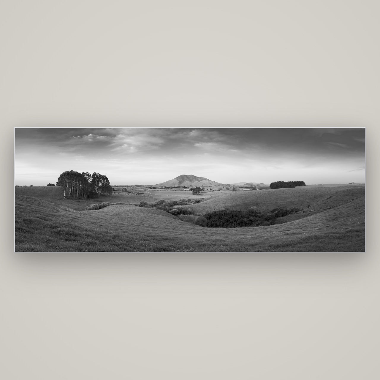Evening Fields, Mount Kakepuku — Slimline Silver, 198×70 cm. New Zealand fine art wall art by Stephen Milner.