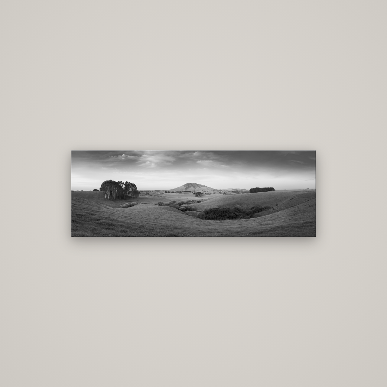 Evening Fields, Mount Kakepuku — No frame, 113×40 cm. New Zealand fine art wall art by Stephen Milner.
