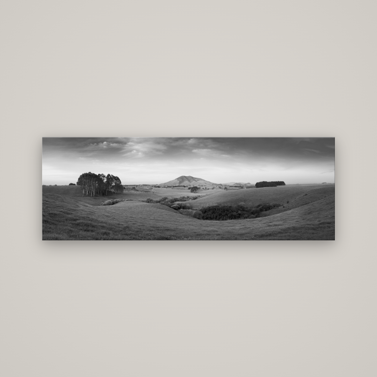 Evening Fields, Mount Kakepuku — No frame, 170×60 cm. New Zealand fine art wall art by Stephen Milner.