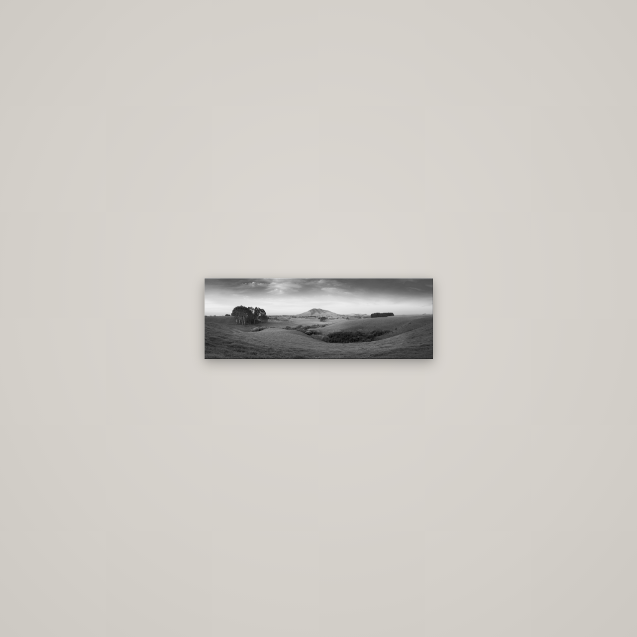 Evening Fields, Mount Kakepuku — No frame, 34×12 cm. New Zealand fine art wall art by Stephen Milner.