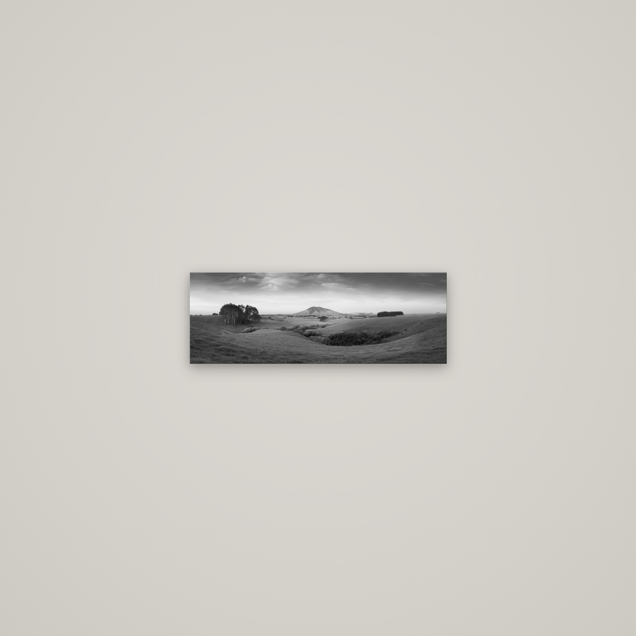 Evening Fields, Mount Kakepuku — No frame, 45×16 cm. New Zealand fine art wall art by Stephen Milner.