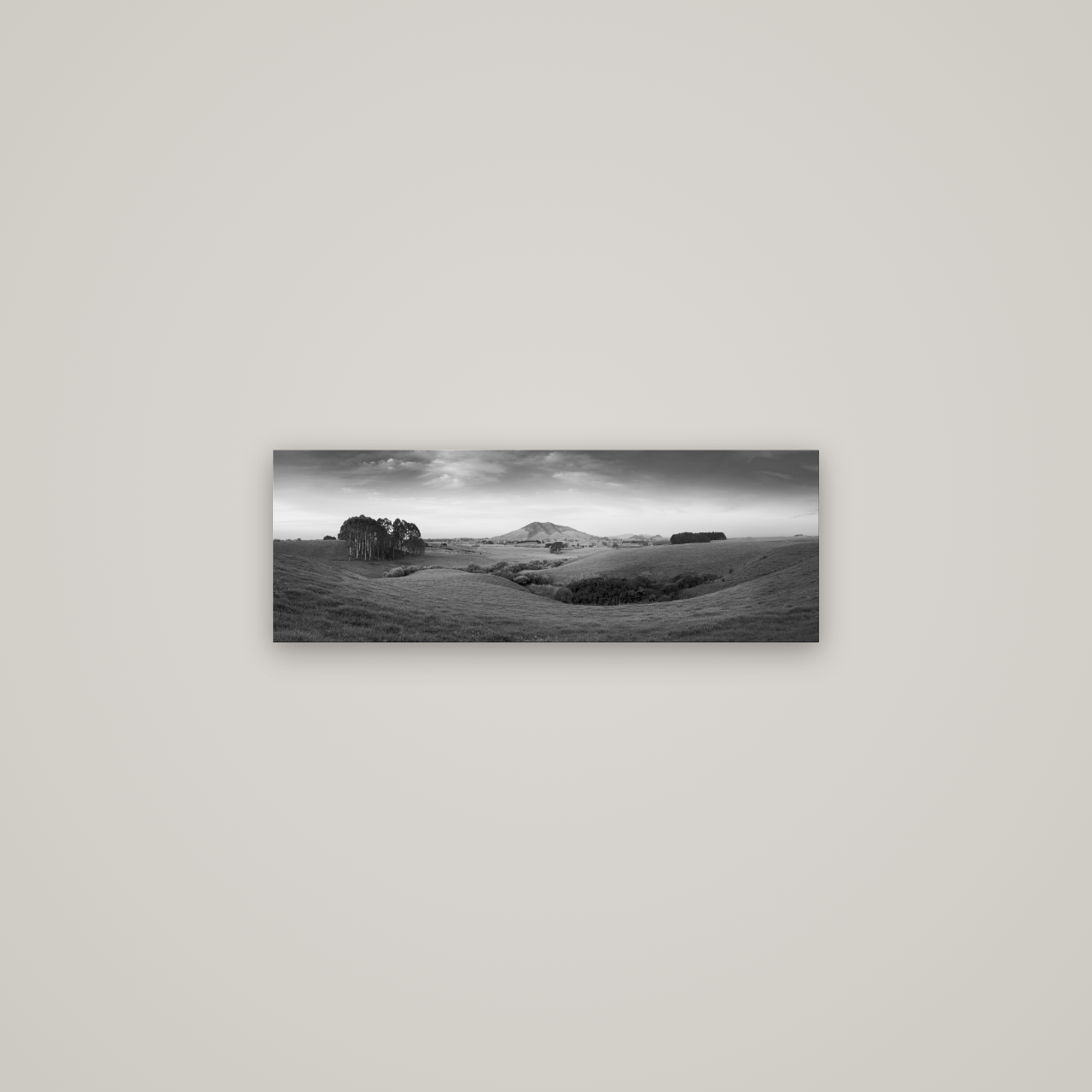 Evening Fields, Mount Kakepuku — No frame, 68×24 cm. New Zealand fine art wall art by Stephen Milner.