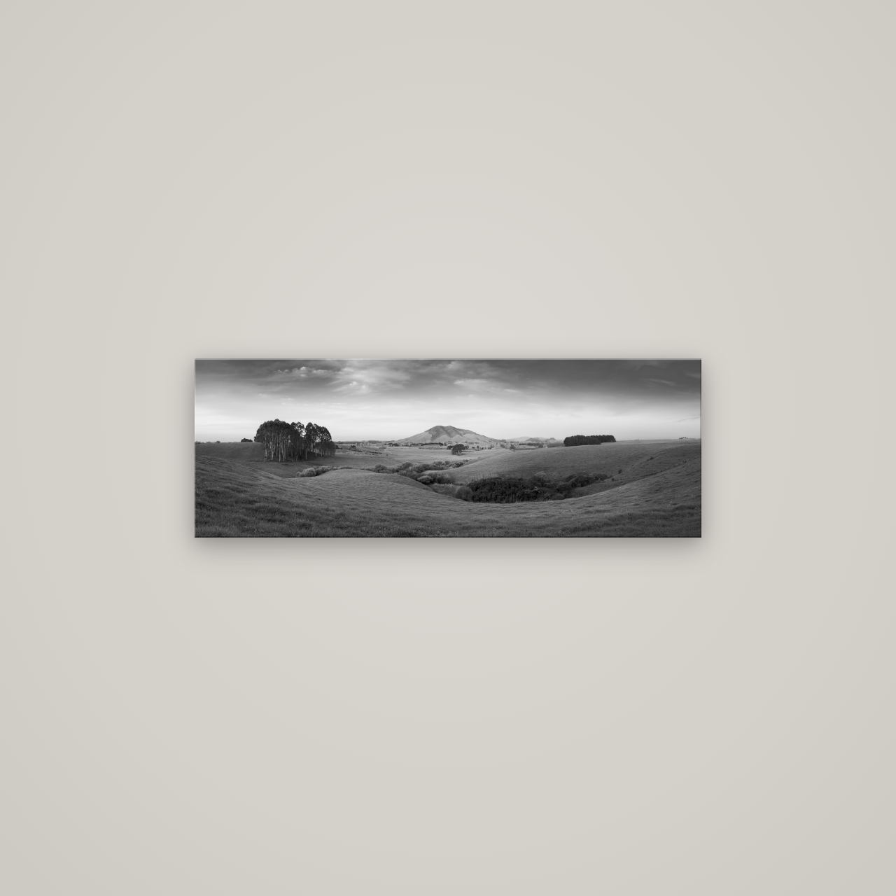 Evening Fields, Mount Kakepuku — No frame, 85×30 cm. New Zealand fine art wall art by Stephen Milner.