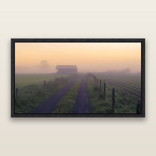 Field of Dreams, Waikato — framed metallic canvas print, Black frame. New Zealand fine art landscape wall art by Stephen Milner.