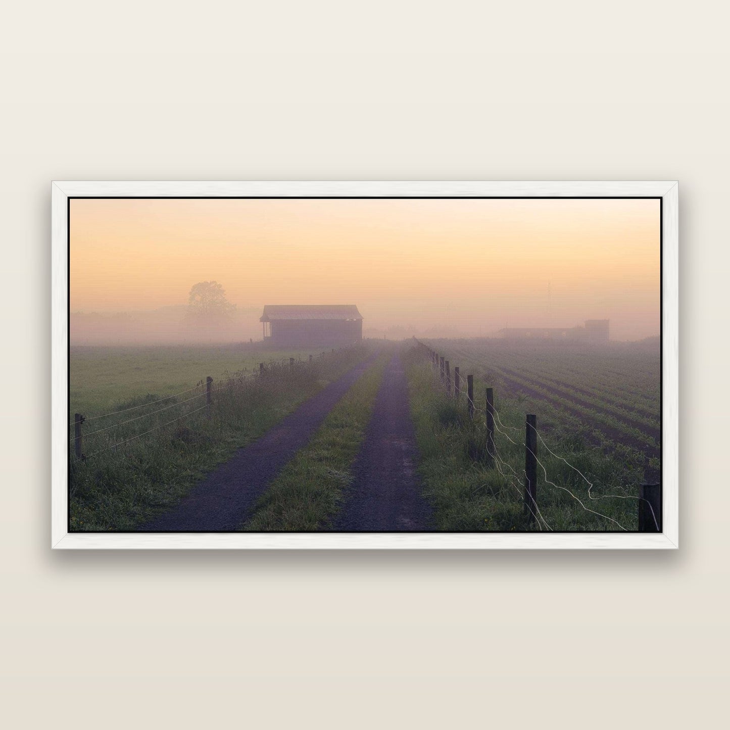Field of Dreams, Waikato — framed metallic canvas print, White frame. New Zealand fine art landscape wall art by Stephen Milner.