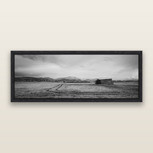 Harvest Light, Canterbury, black and white framed metallic canvas print, Black frame. New Zealand fine art wall art by Stephen Milner.