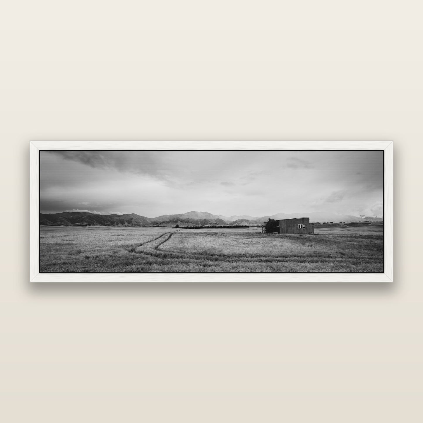 Harvest Light, Canterbury, black and white framed metallic canvas print, White frame. New Zealand fine art wall art by Stephen Milner.