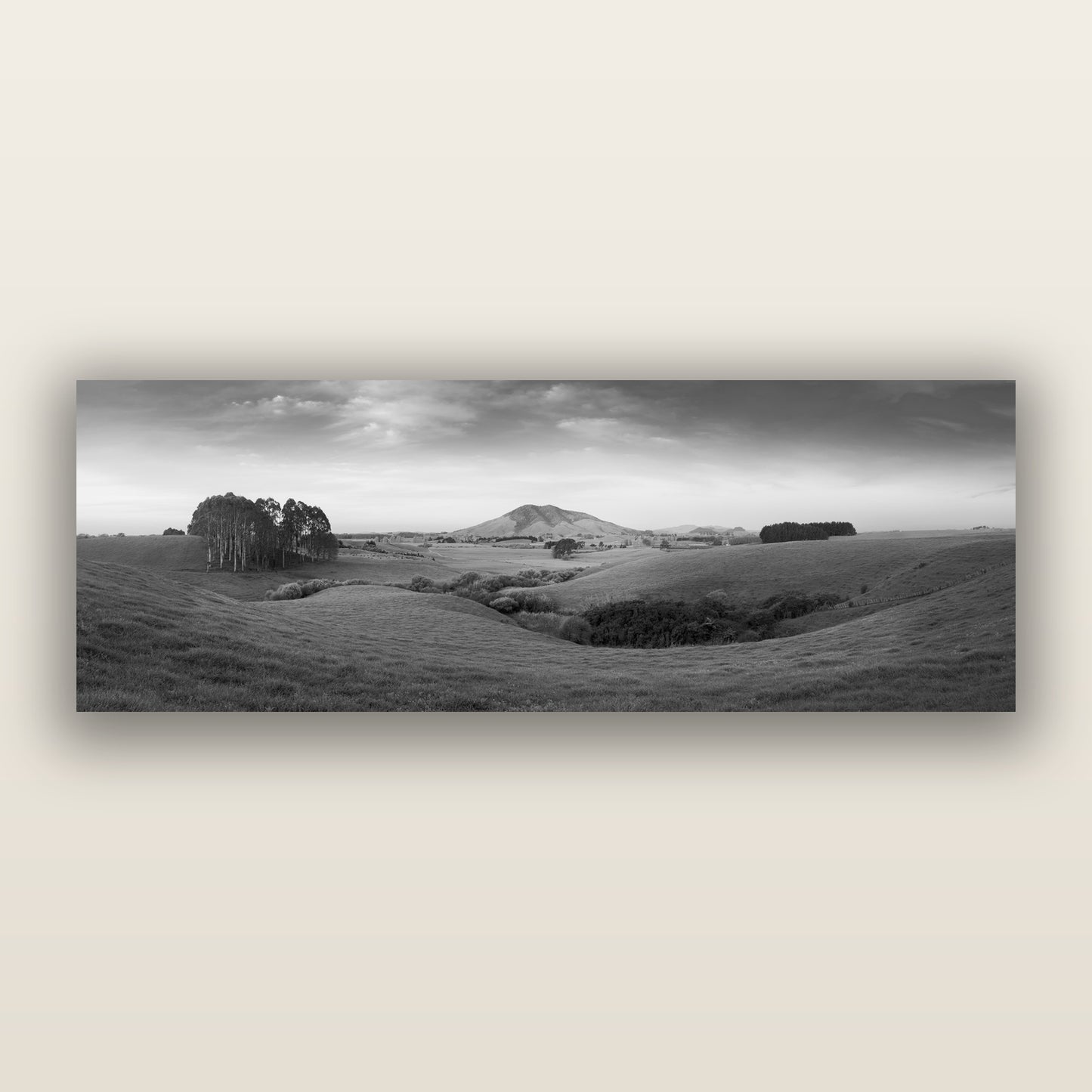 Evening Fields, Mount Kakepuku, black and white frameless acrylic glass print. New Zealand fine art photography by Stephen Milner.