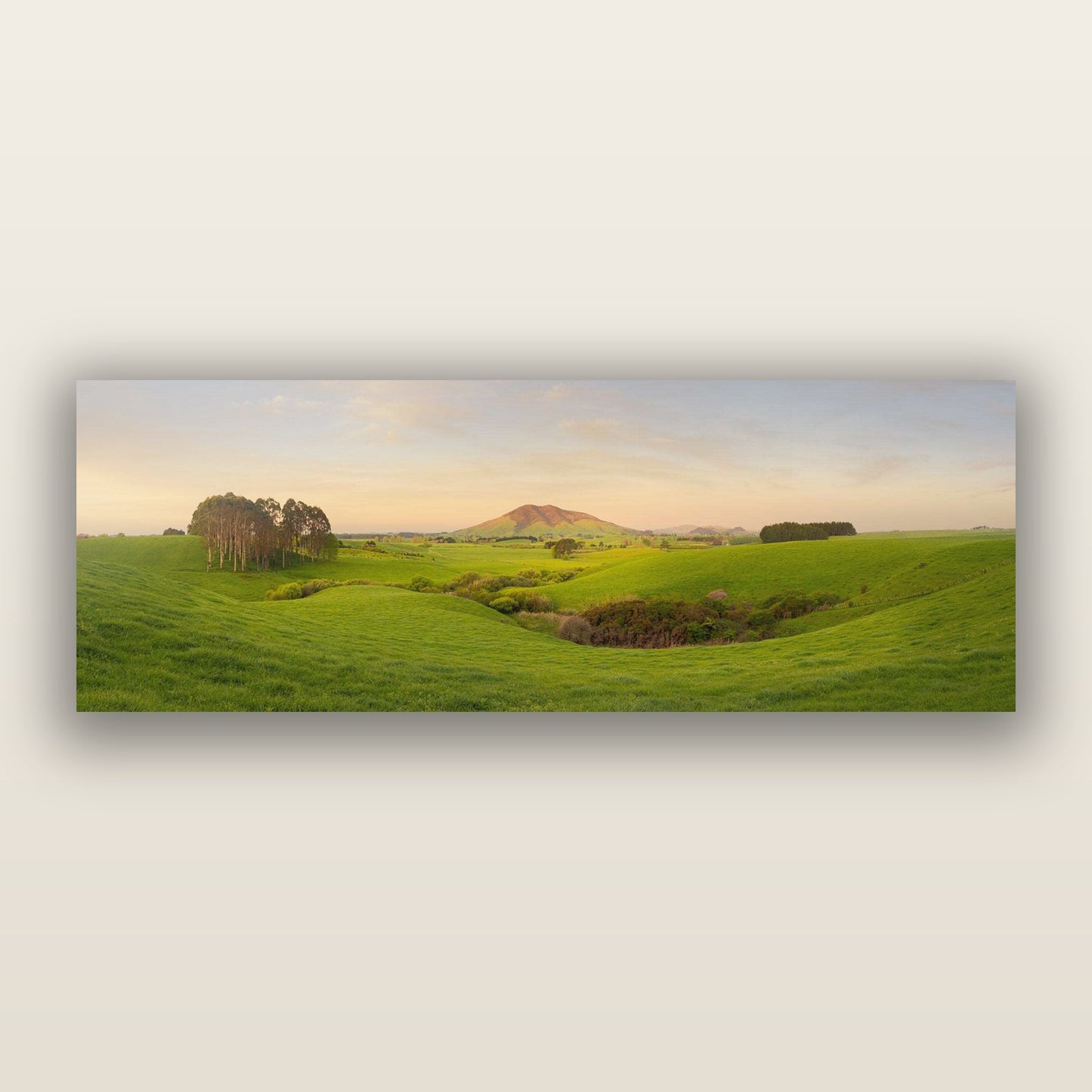 Fiery Fields, Mount Kakepuku — frameless acrylic glass print. New Zealand fine art landscape photography by Stephen Milner.