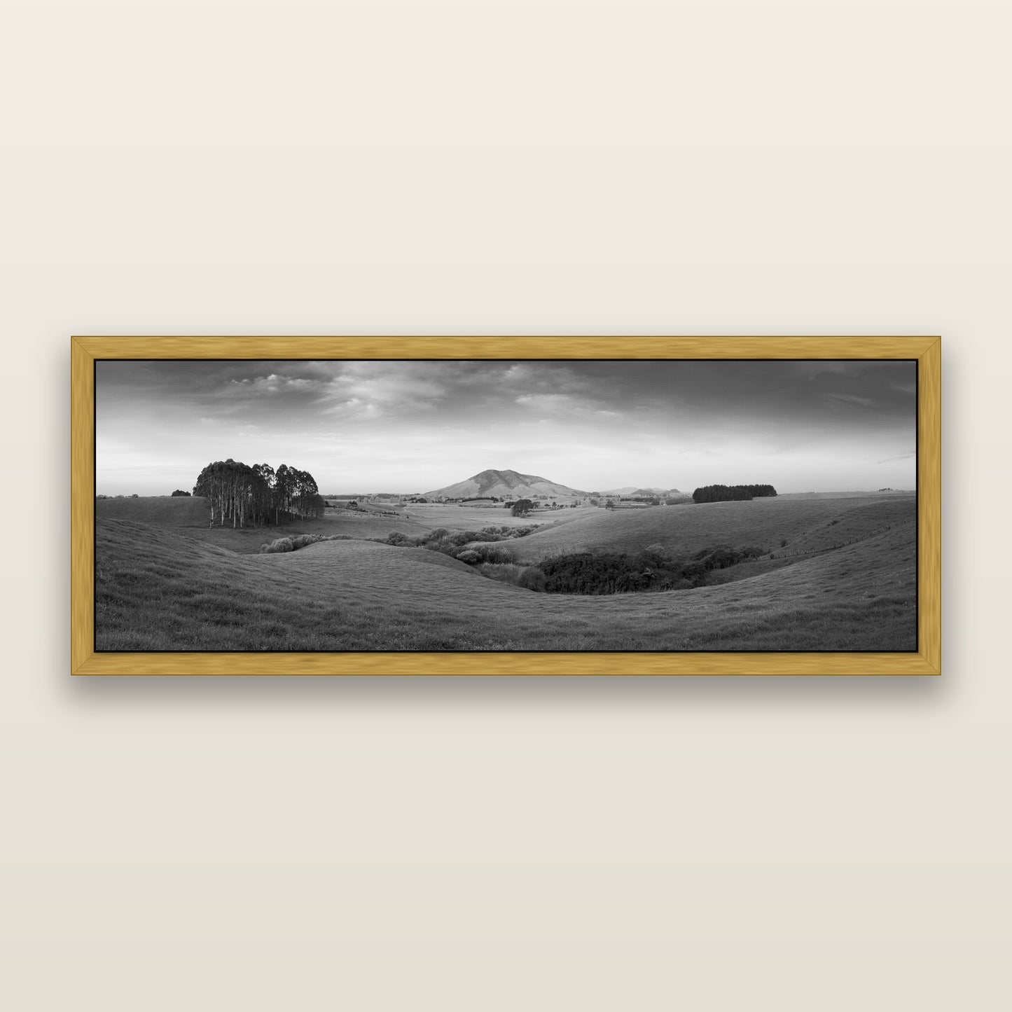 Evening Fields, Mount Kakepuku, black and white framed metallic canvas print, Antique Gold frame. New Zealand fine art wall art by Stephen Milner.