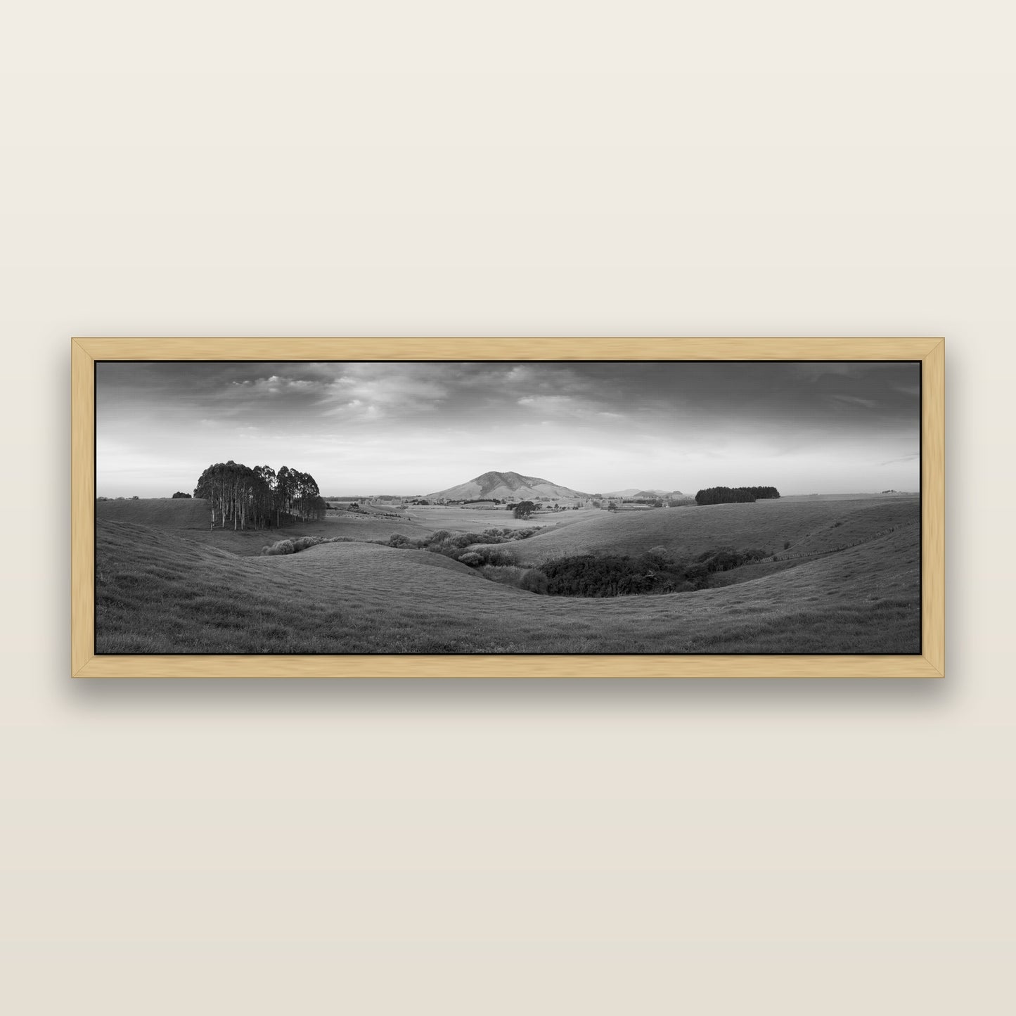 Evening Fields, Mount Kakepuku, black and white framed metallic canvas print, Natural frame. New Zealand fine art wall art by Stephen Milner.