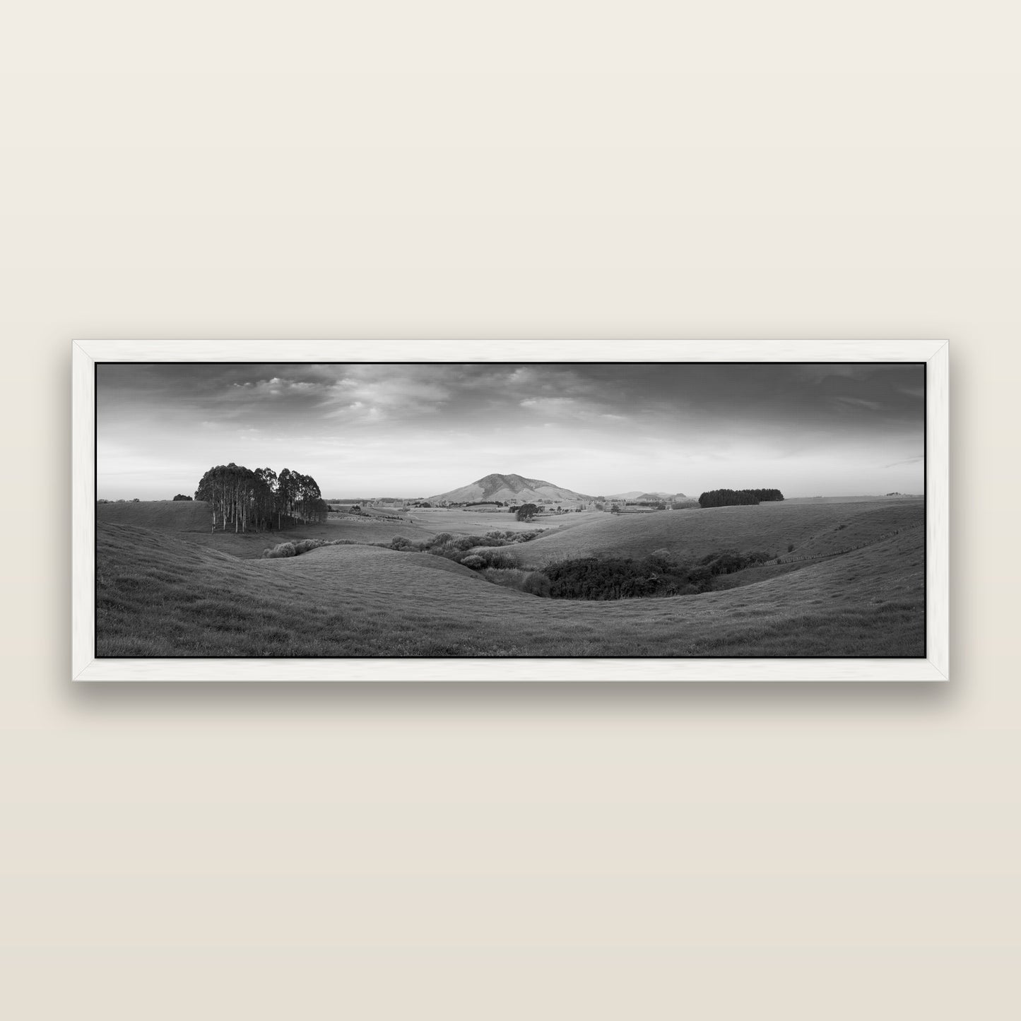 Evening Fields, Mount Kakepuku, black and white framed metallic canvas print, White frame. New Zealand fine art wall art by Stephen Milner.