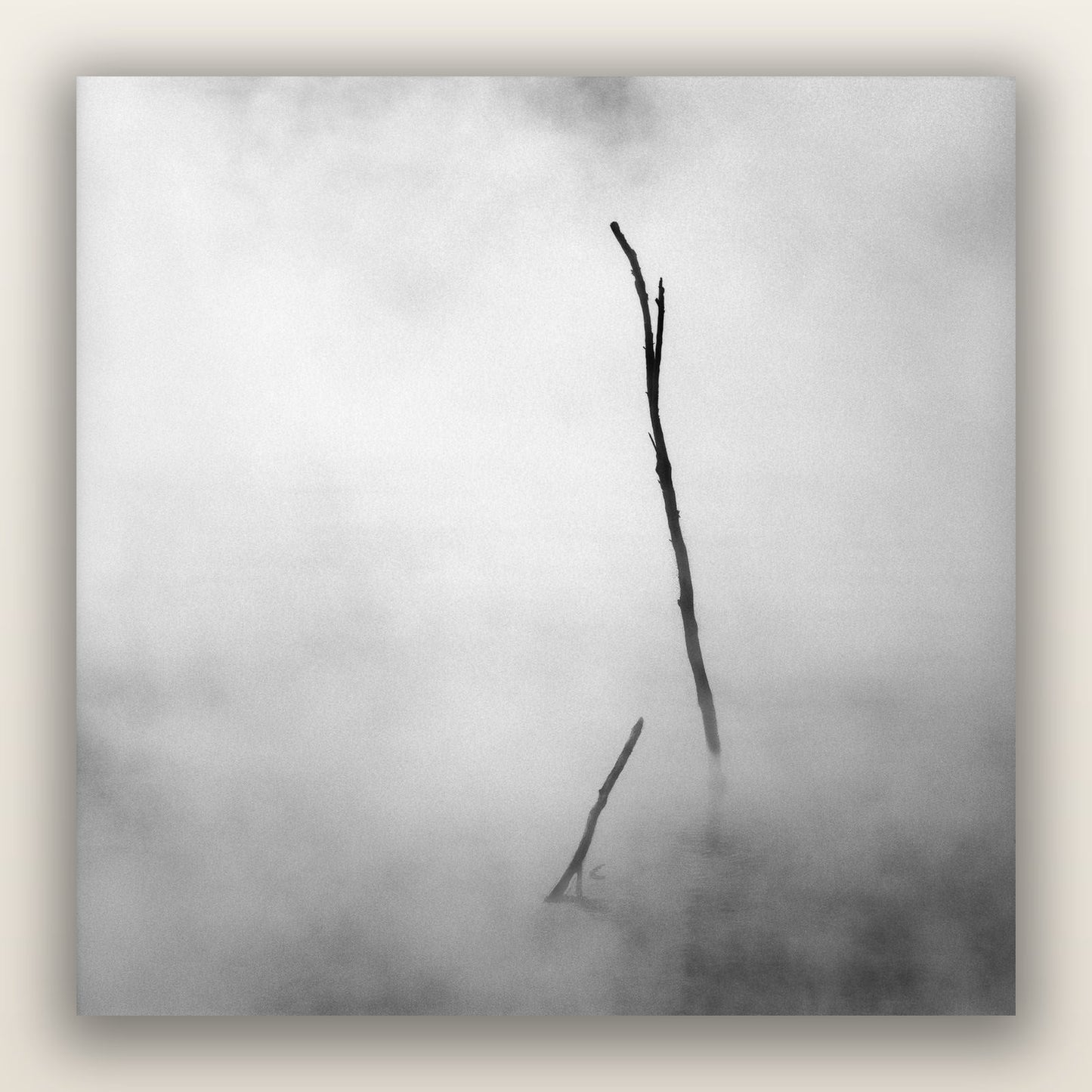 Ghostly Remains, Rotorua — frameless acrylic glass print. New Zealand fine art landscape photography by Stephen Milner.