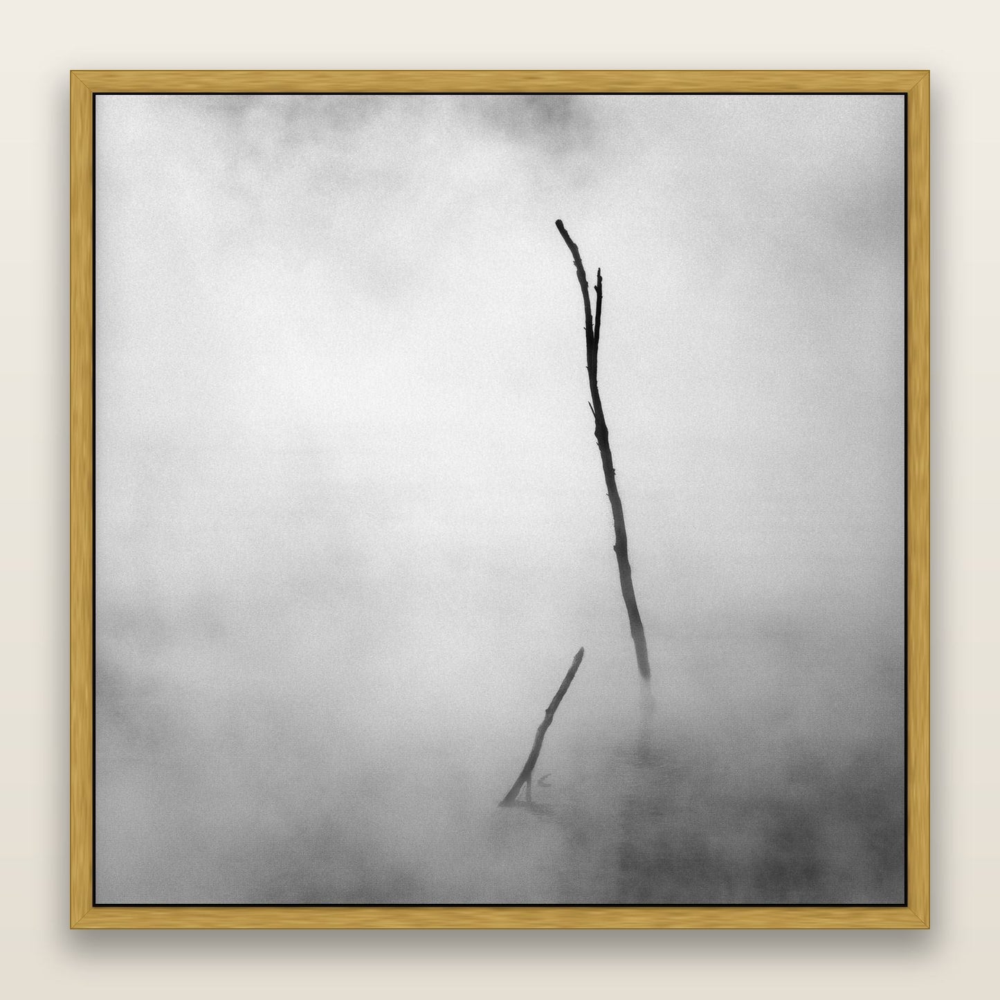 Ghostly Remains, Rotorua — framed metallic canvas print, Antique Gold frame. New Zealand fine art landscape wall art by Stephen Milner.