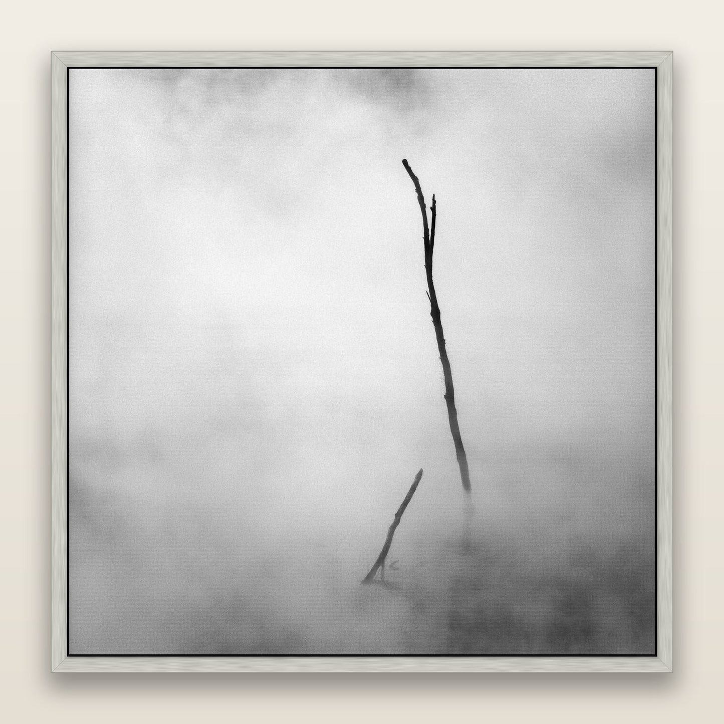 Ghostly Remains, Rotorua — framed metallic canvas print, Antique Silver frame. New Zealand fine art landscape wall art by Stephen Milner.