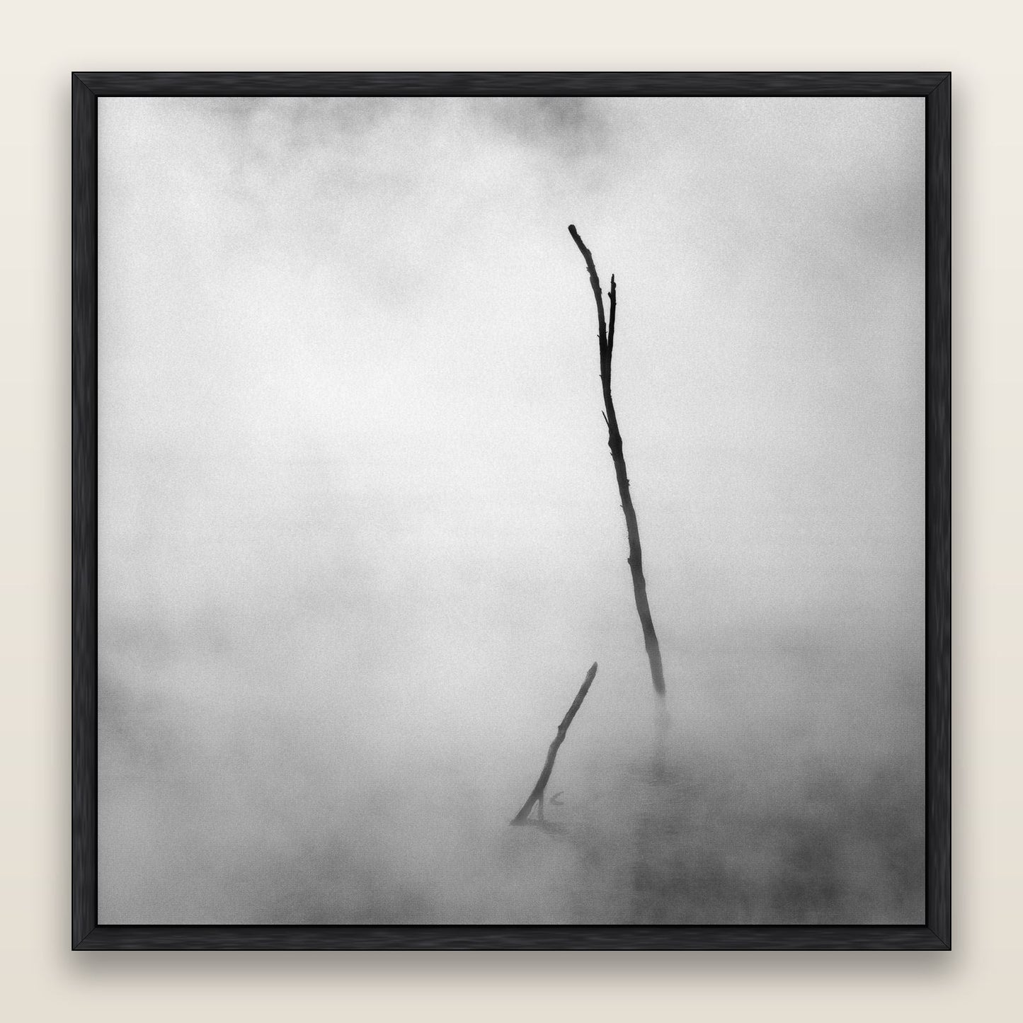 Ghostly Remains, Rotorua — framed metallic canvas print, Black frame. New Zealand fine art landscape wall art by Stephen Milner.
