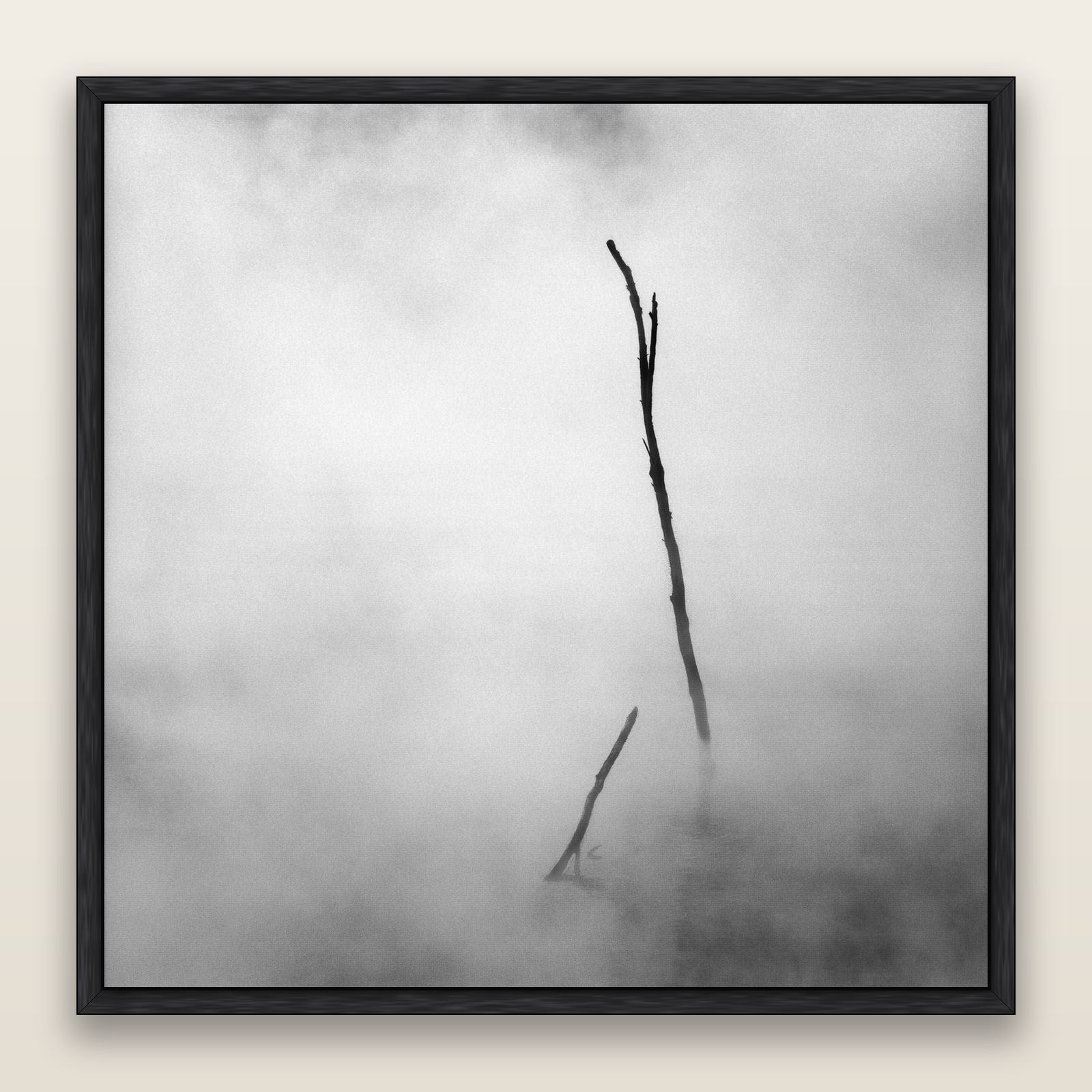 Ghostly Remains, Rotorua — framed metallic canvas print, Black frame. New Zealand fine art landscape wall art by Stephen Milner.