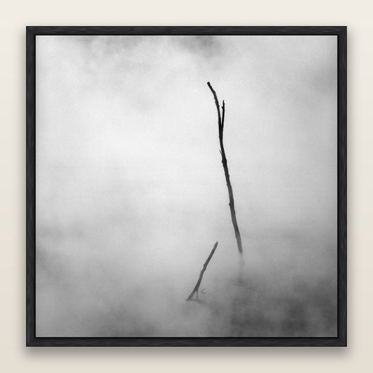 Ghostly Remains, Rotorua — framed metallic canvas print, Black frame. New Zealand fine art landscape wall art by Stephen Milner.