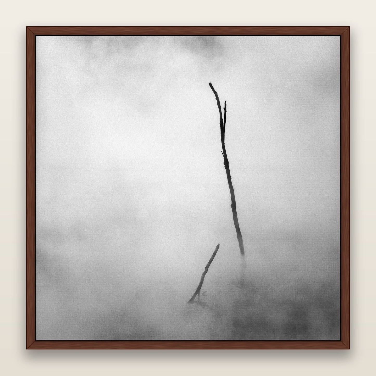 Ghostly Remains, Rotorua — framed metallic canvas print, Brown frame. New Zealand fine art landscape wall art by Stephen Milner.