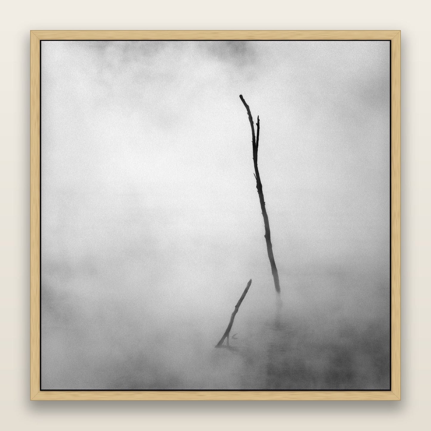 Ghostly Remains, Rotorua — framed metallic canvas print, Natural frame. New Zealand fine art landscape wall art by Stephen Milner.