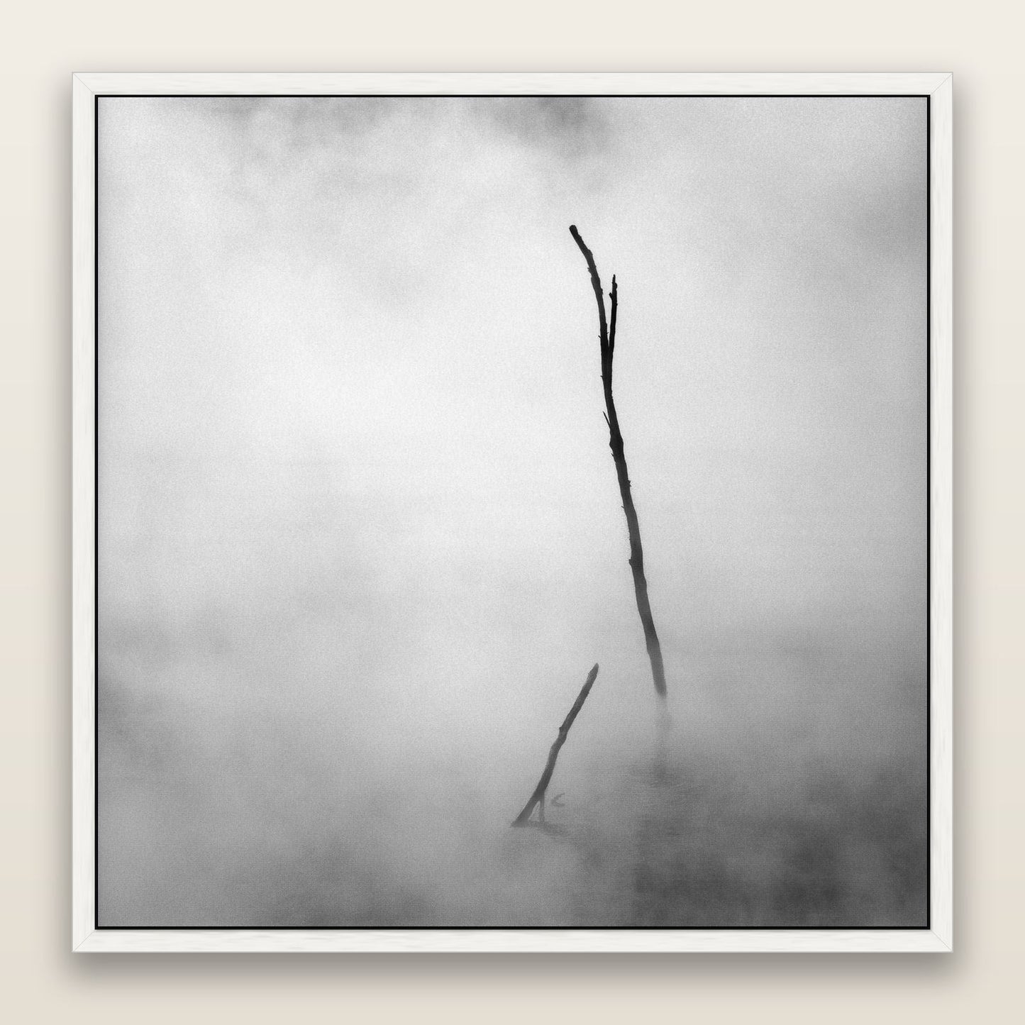 Ghostly Remains, Rotorua — framed metallic canvas print, White frame. New Zealand fine art landscape wall art by Stephen Milner.