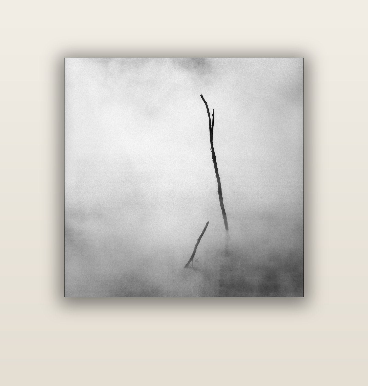 Ghostly Remains, Rotorua — acrylic glass print, 112 × 112 cm. New Zealand fine art landscape wall art by Stephen Milner.