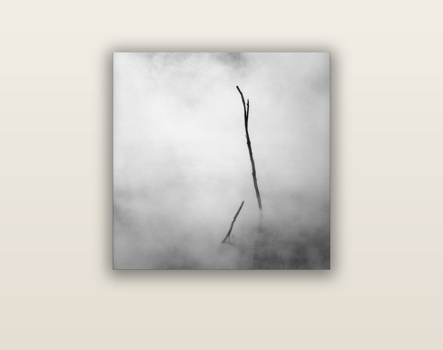 Ghostly Remains, Rotorua — acrylic glass print, 61 × 61 cm. New Zealand fine art landscape wall art by Stephen Milner.