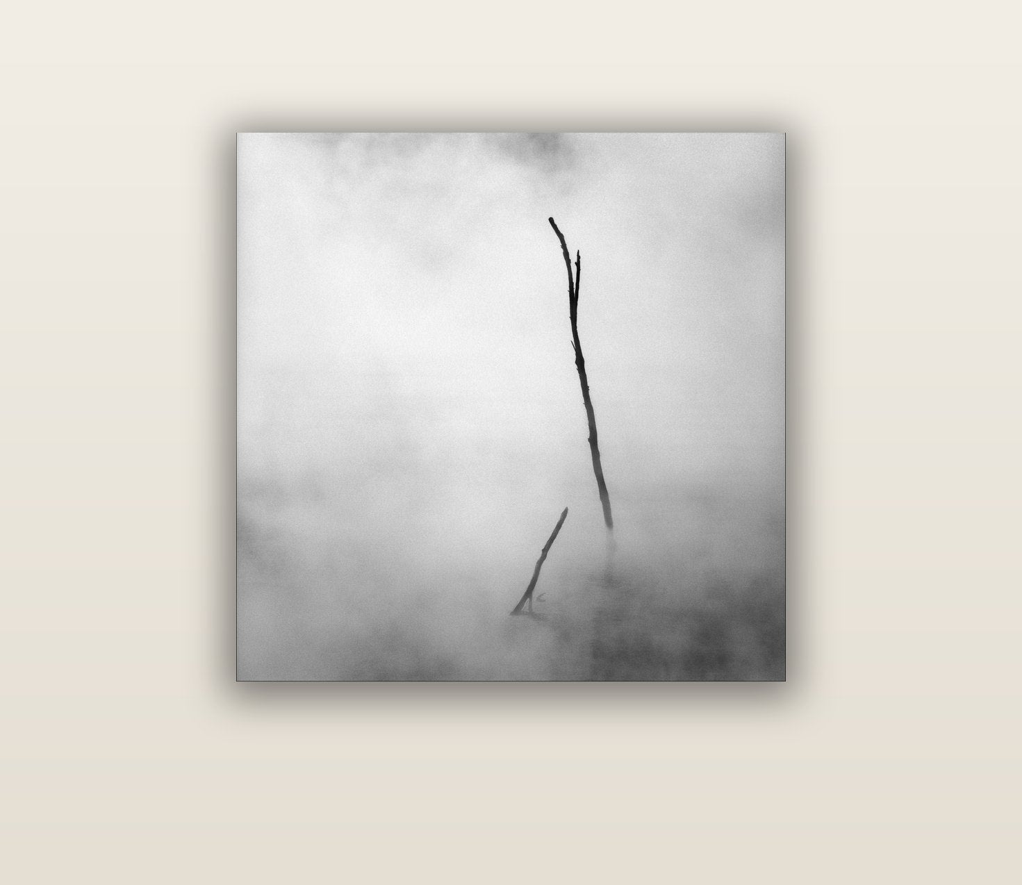 Ghostly Remains, Rotorua — acrylic glass print, 76 × 76 cm. New Zealand fine art landscape wall art by Stephen Milner.