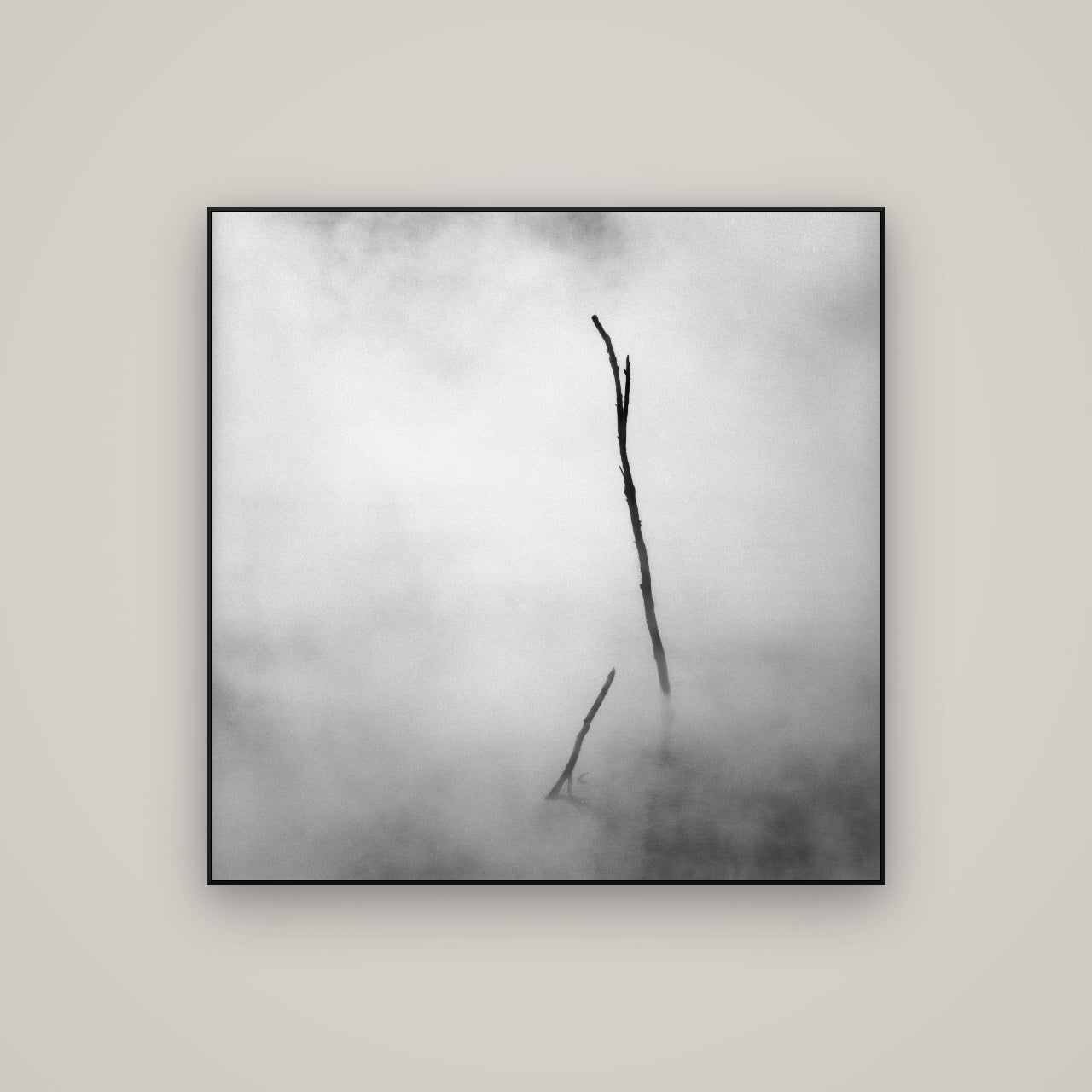 Ghostly Remains, Rotorua — ArtBox Black, 100×100 cm. New Zealand fine art wall art by Stephen Milner.