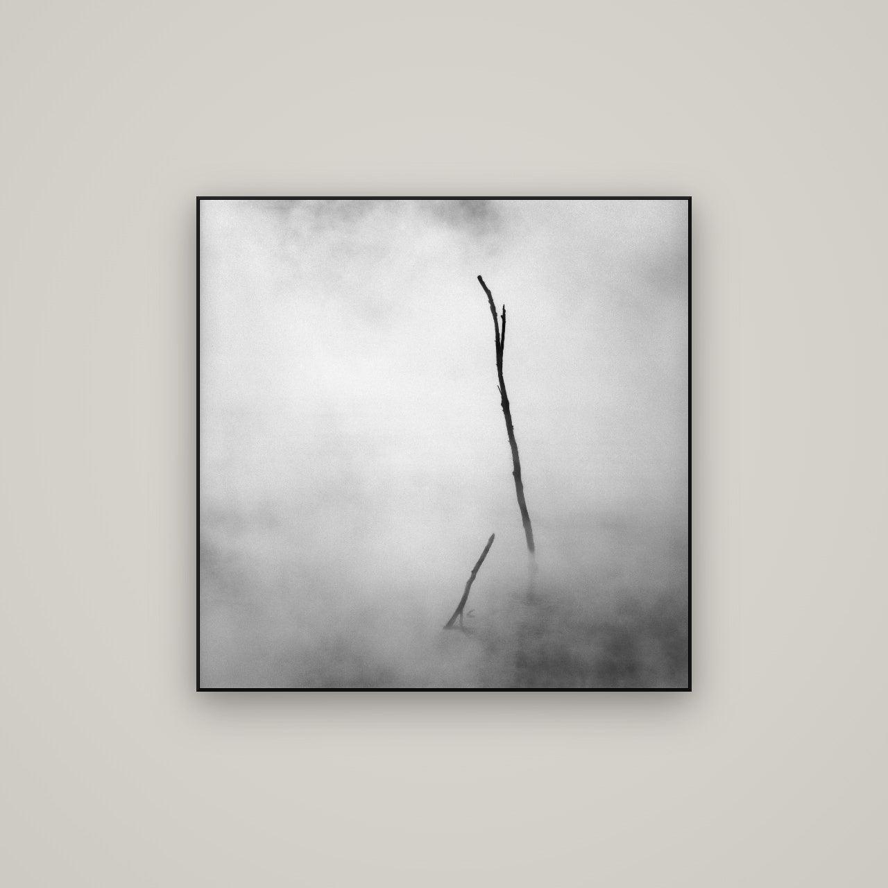 Ghostly Remains, Rotorua — ArtBox Black, 80×80 cm. New Zealand fine art wall art by Stephen Milner.