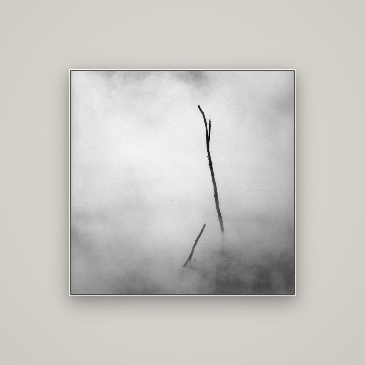 Ghostly Remains, Rotorua — ArtBox White, 100×100 cm. New Zealand fine art wall art by Stephen Milner.